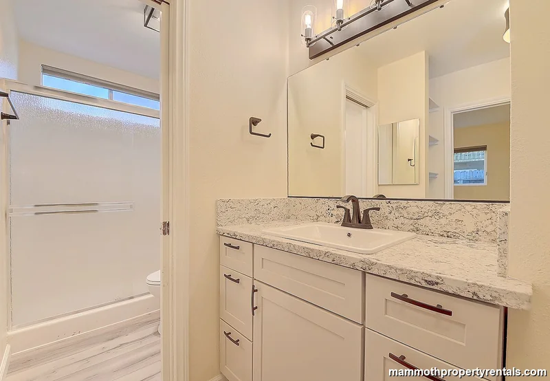 Master bathroom showing the full layout of the vanity and shower.